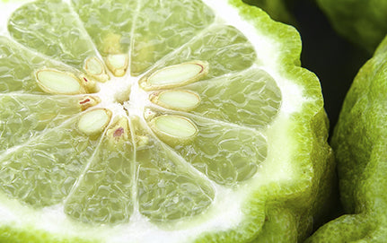 WHAT IS BERGAMOT OIL? BERGAMOT OIL INFO, USES, AND BENEFITS