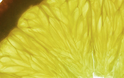 ALL ABOUT LEMON OIL & THE LEMON PLANT
