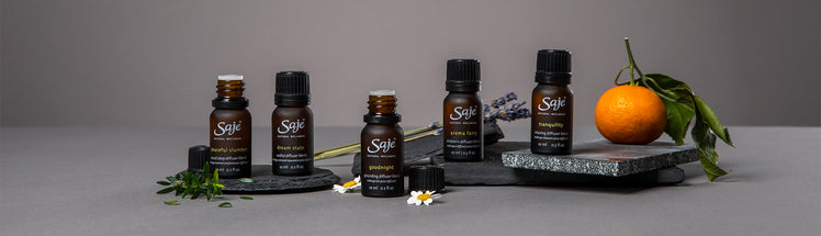 Sleep diffuser blend collection placed with lavender, mandarin, and thyme