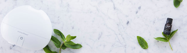 Breeze Saje Diffuser placed with spearmint and Saje Diffuser blend