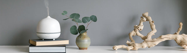 Saje diffuser placed on top of a stack of books placed with a plant