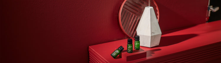 Holiday diffuser blends with Saje diffuser 