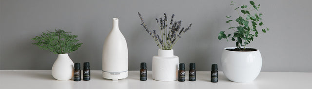 Saje Aroma Om Diffuser on a desk surrounded by diffuser blends and plants