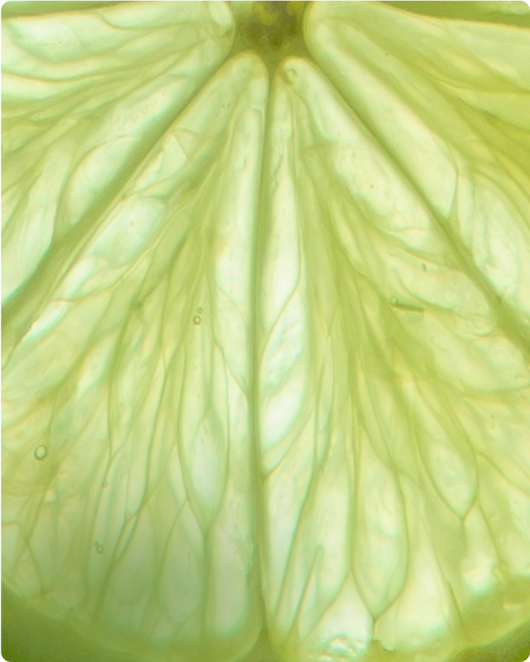 Lime - What is it?