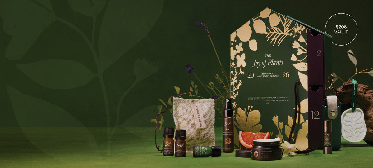The Wait is Over! Introducing The Joy of Plants Advent Calendar