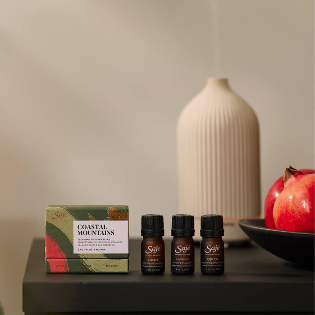 Coastal Mountains Diffuser Blend Collection on a black table next to a bowl of pomegranates and Aroma Rise Diffuser