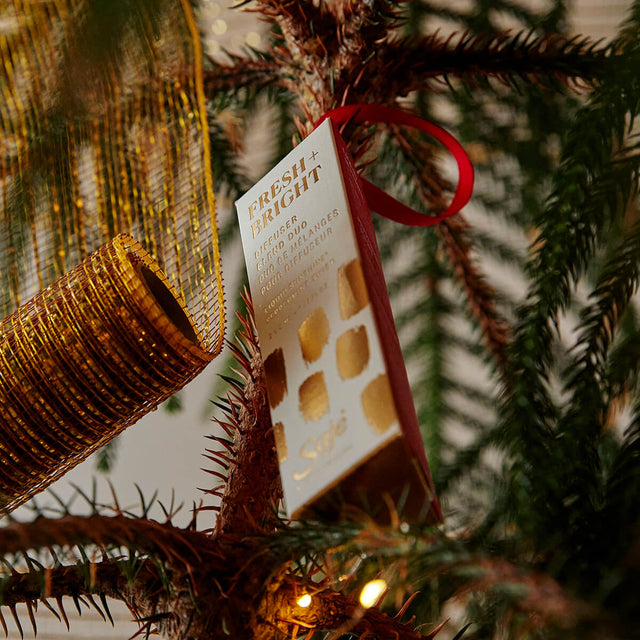 Fresh + Bright Diffuser Blend Duo in packaging hanging from a lit up Christmas tree.