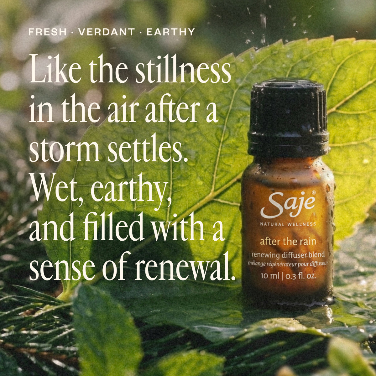 After The Rain Earthy & Verdant Diffuser Blend - Saje Natural Wellness