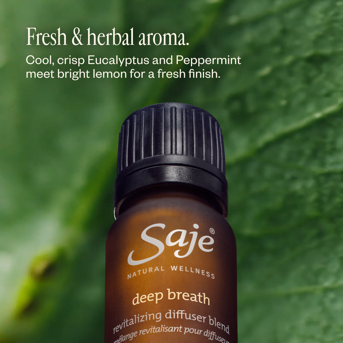 Deep Breath Revitalizing 0.34 fl oz Diffuser Blend - Saje Natural