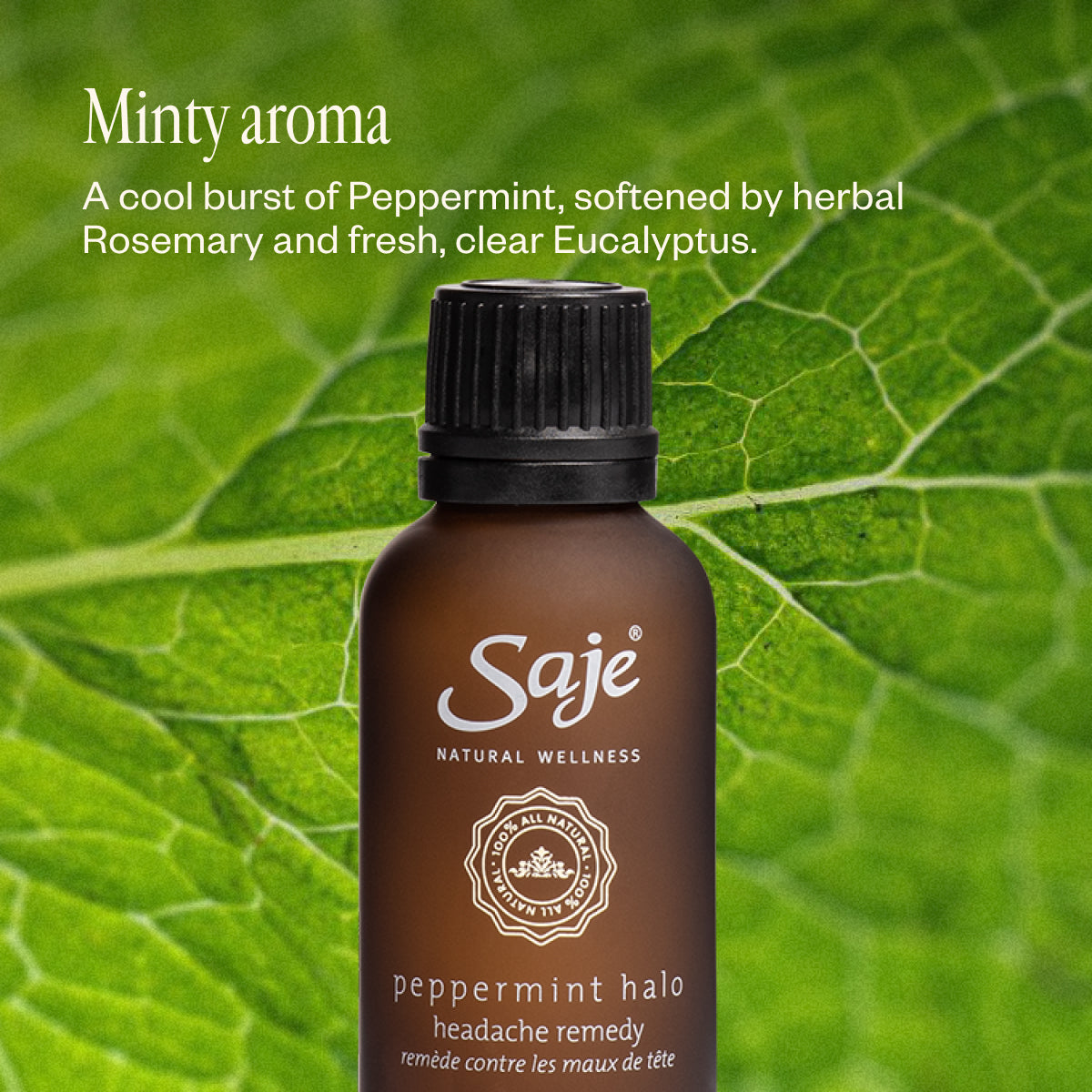 Peppermint Halo Cooling Oil Blend Refill - Saje Natural Wellness