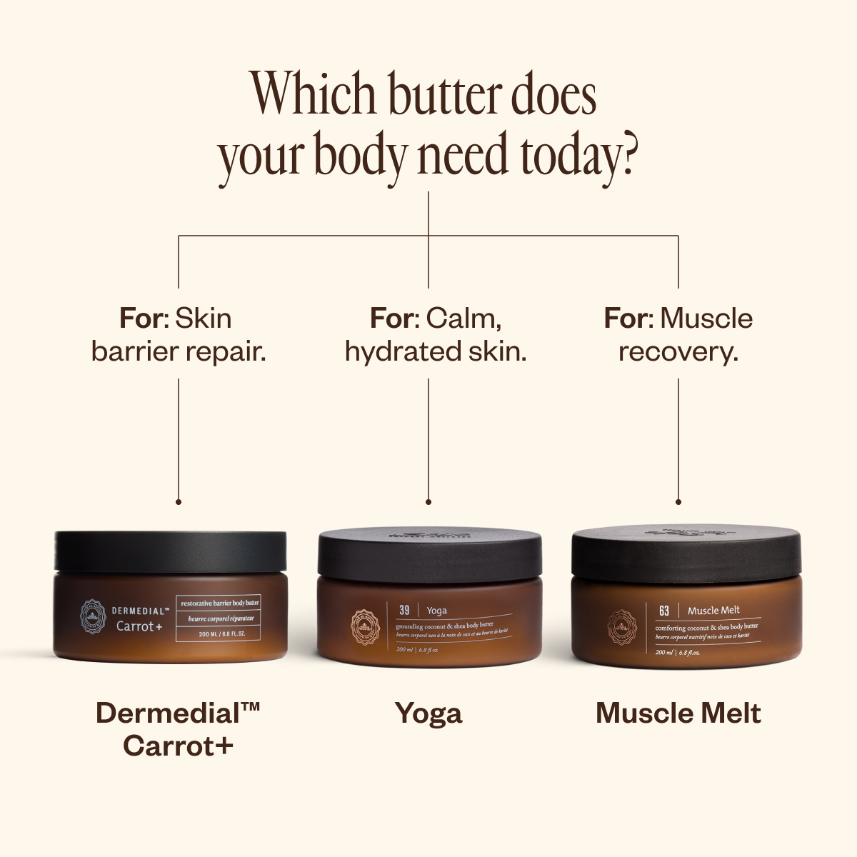 Dermedial™ Carrot+ Restorative Barrier Body Butter - Saje Natural