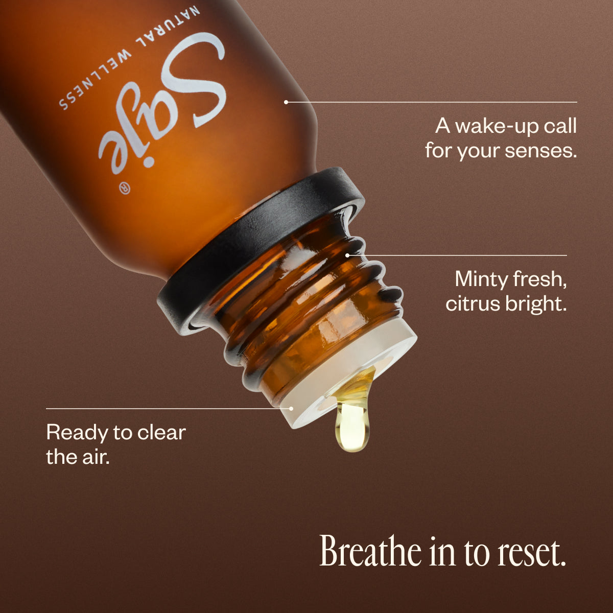 Refresh Revitalizing 3.4 fl oz Diffuser Blend - Saje Natural Wellness