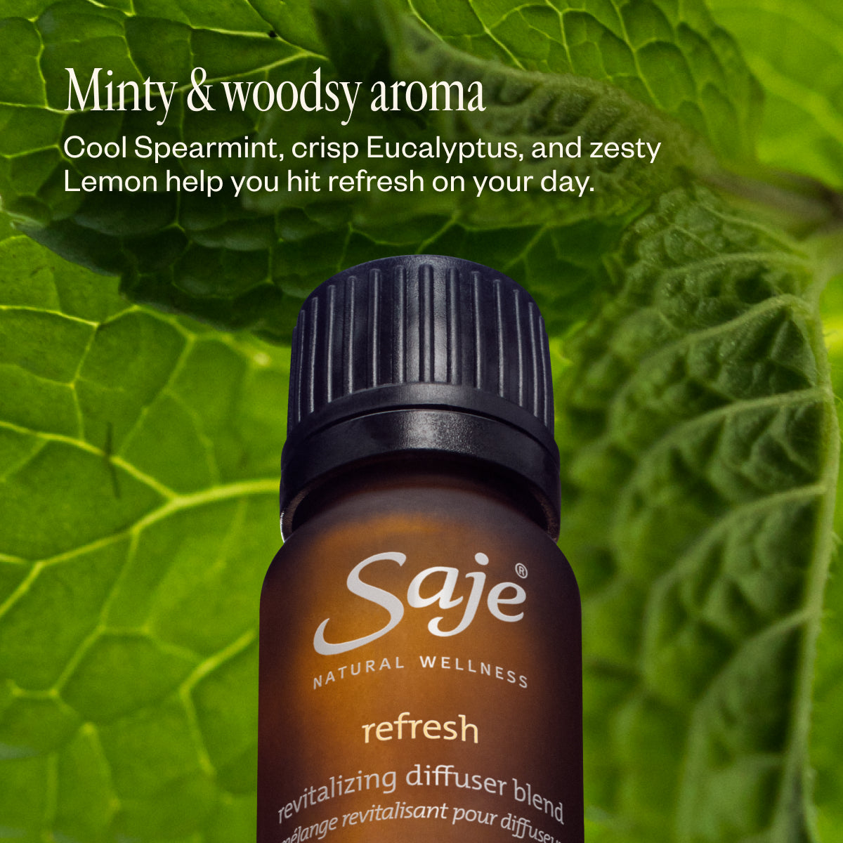 Refresh Revitalizing 1 fl oz Diffuser Blend - Saje Natural Wellness
