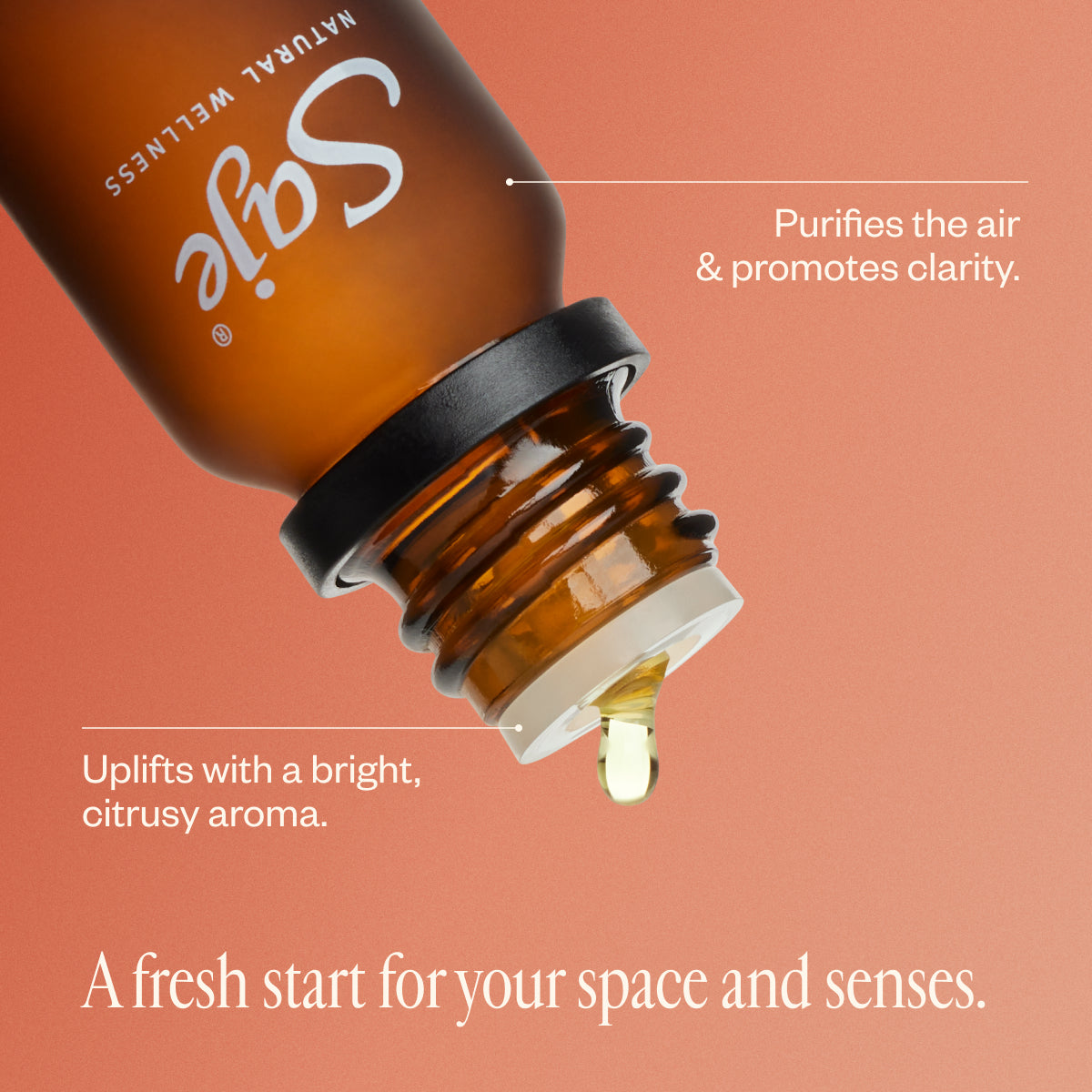 Super Cleanse Purifying Diffuser Blend - Saje Natural Wellness