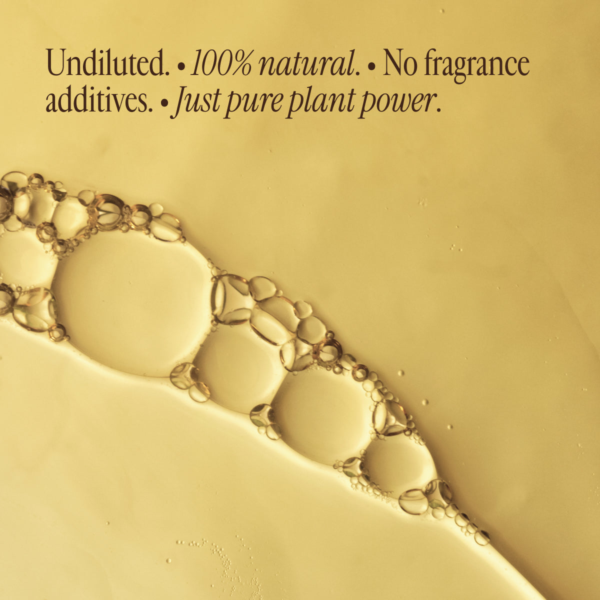 Super Cleanse Purifying Diffuser Blend - Saje Natural Wellness