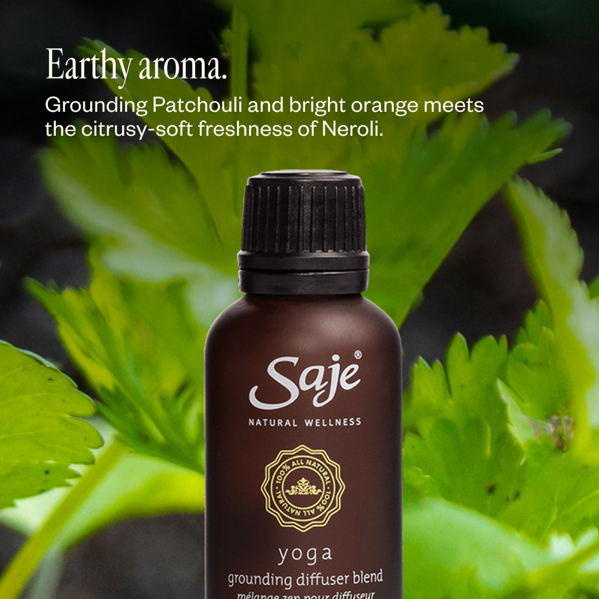 Yoga Grounding Diffuser Blend - Saje Natural Wellness