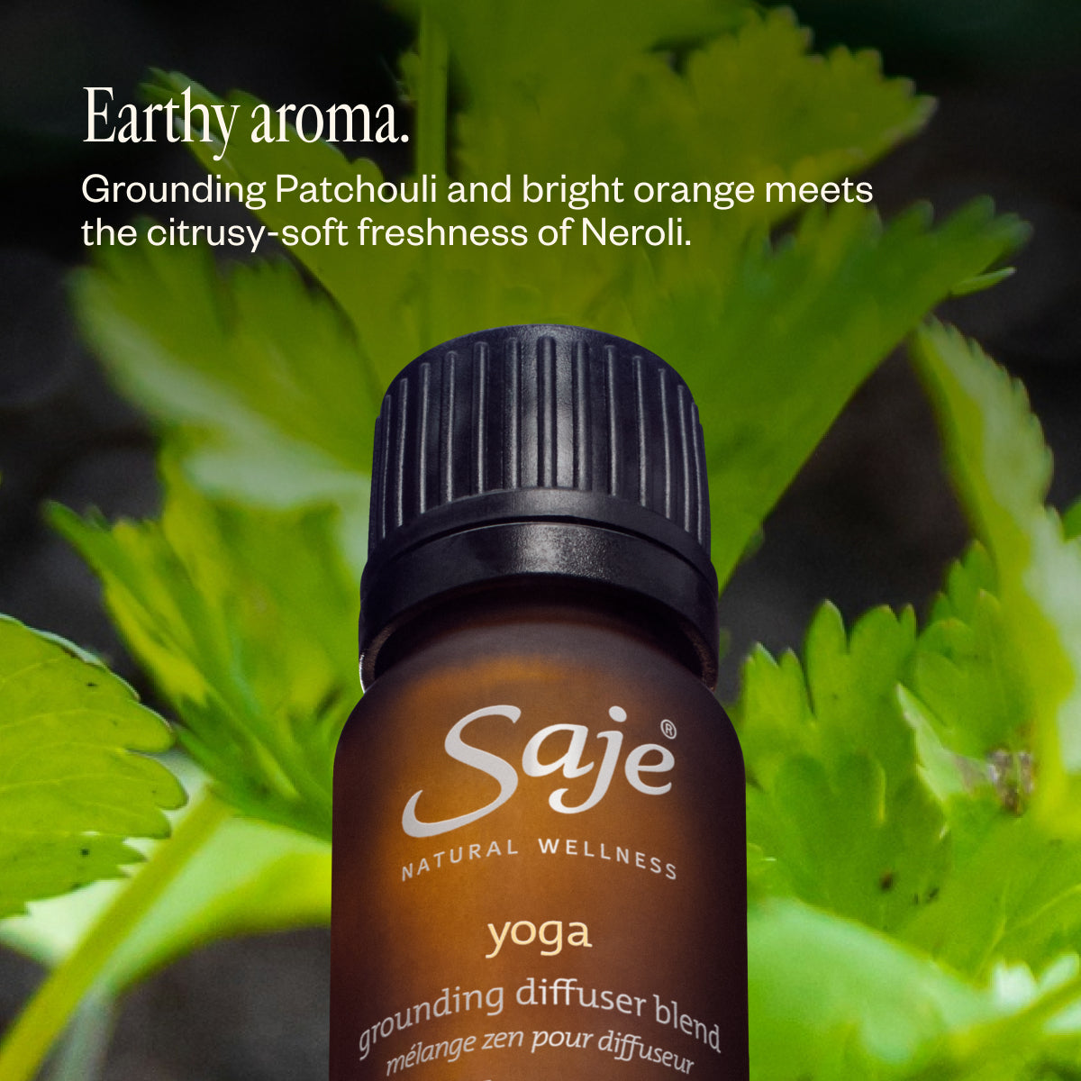 Yoga Grounding Diffuser Blend - Saje Natural Wellness