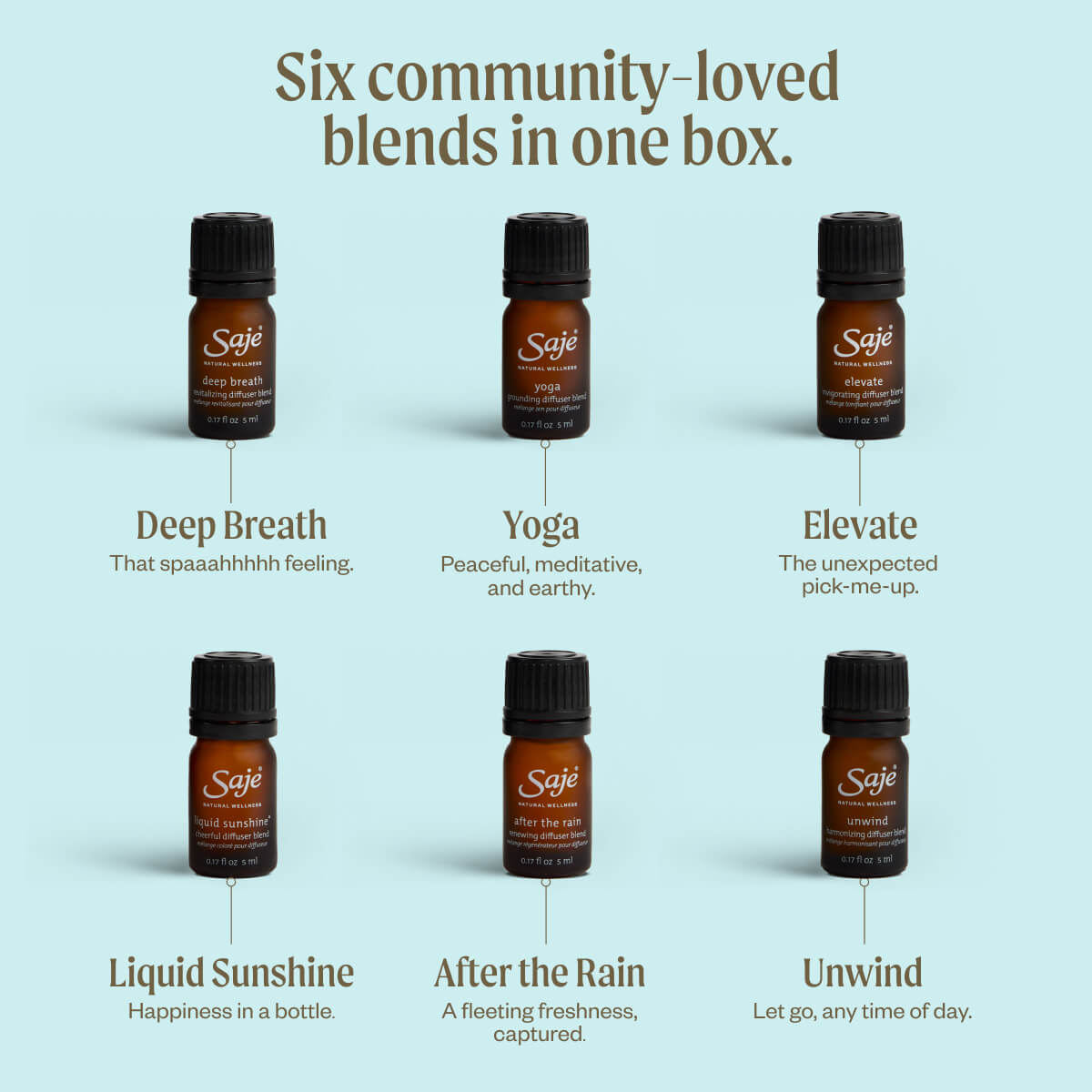 Best Of Saje Diffuser Blend Collection - Saje Natural Wellness
