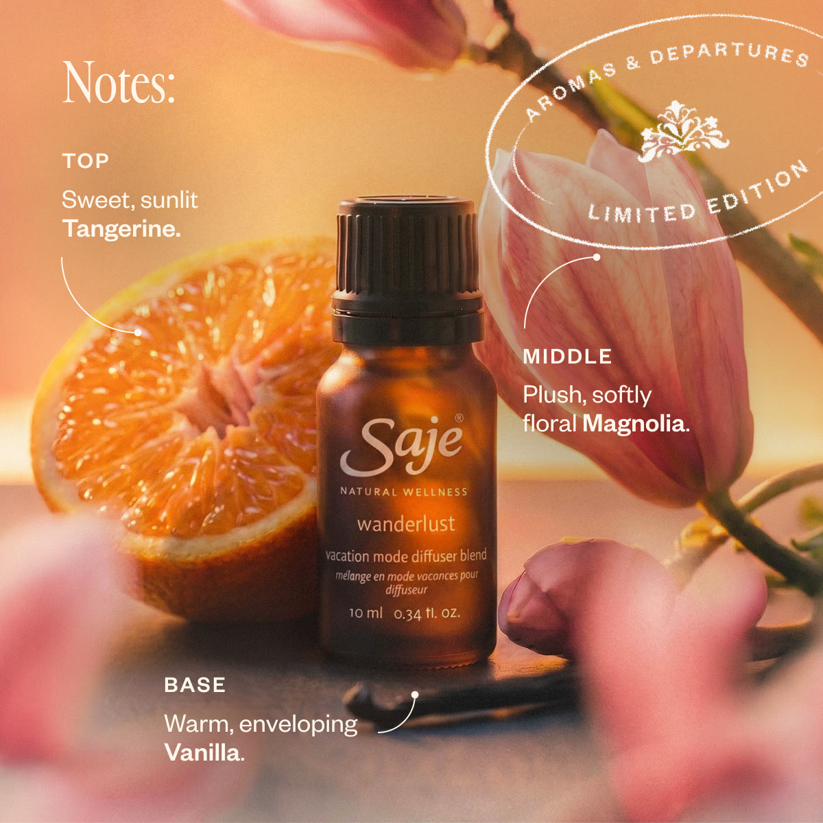 Aromas & Departures Wanderlust, Fresh Air & Arrive Revived