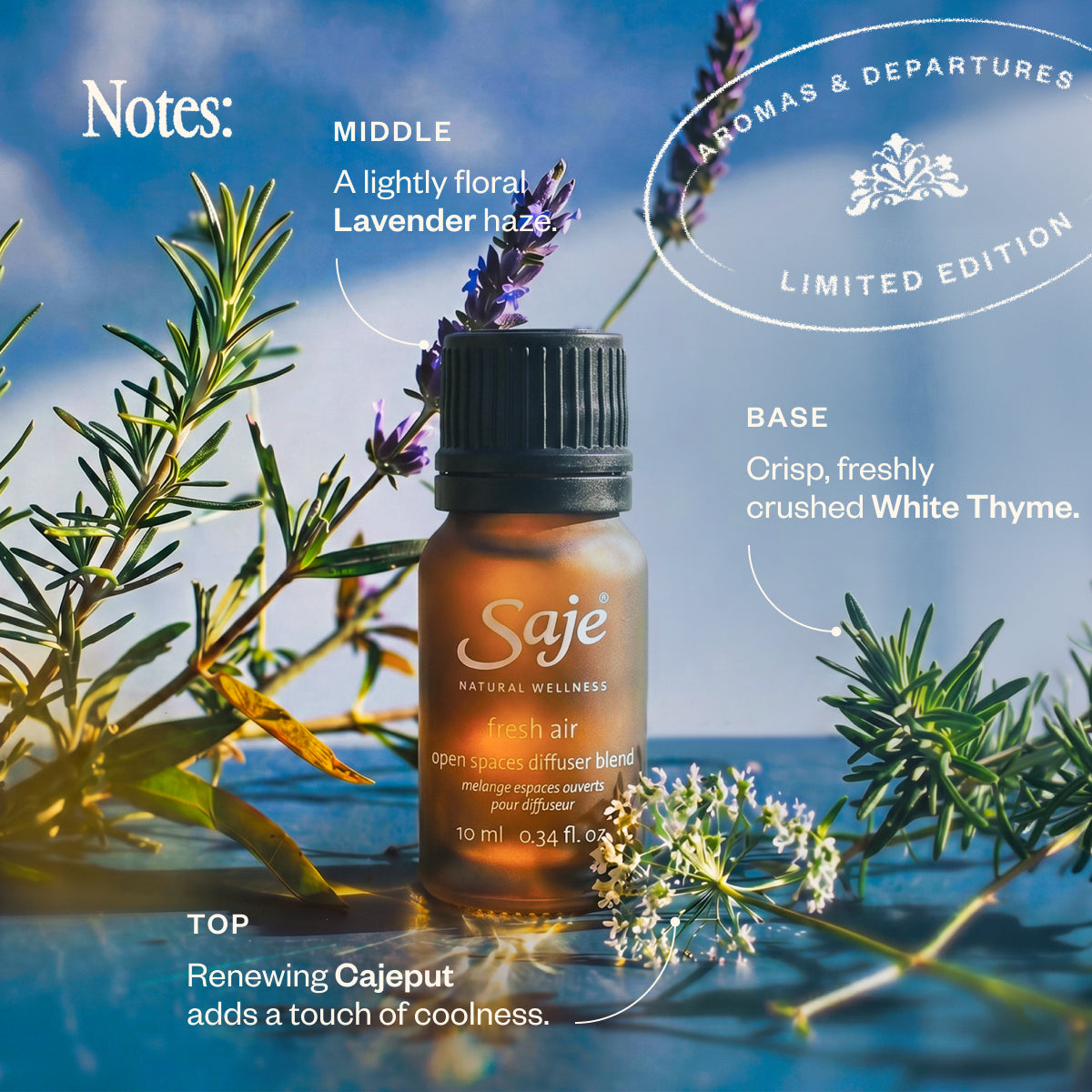 Aromas & Departures Wanderlust, Fresh Air & Arrive Revived