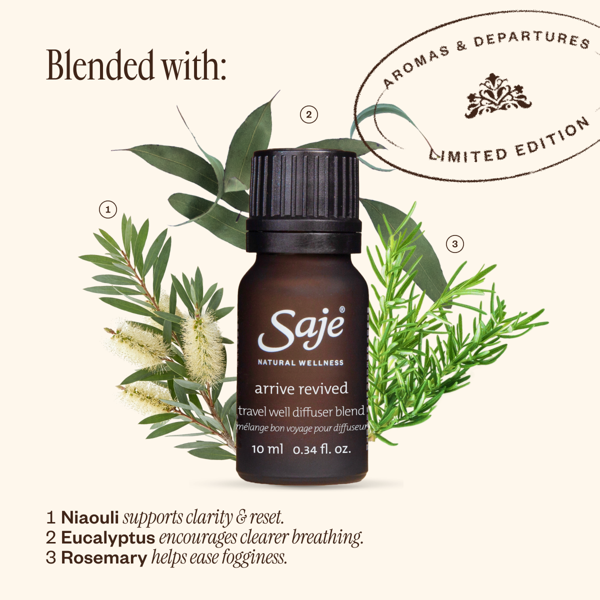 Arrive Revived Travel Well Diffuser Blend - Saje Natural Wellness