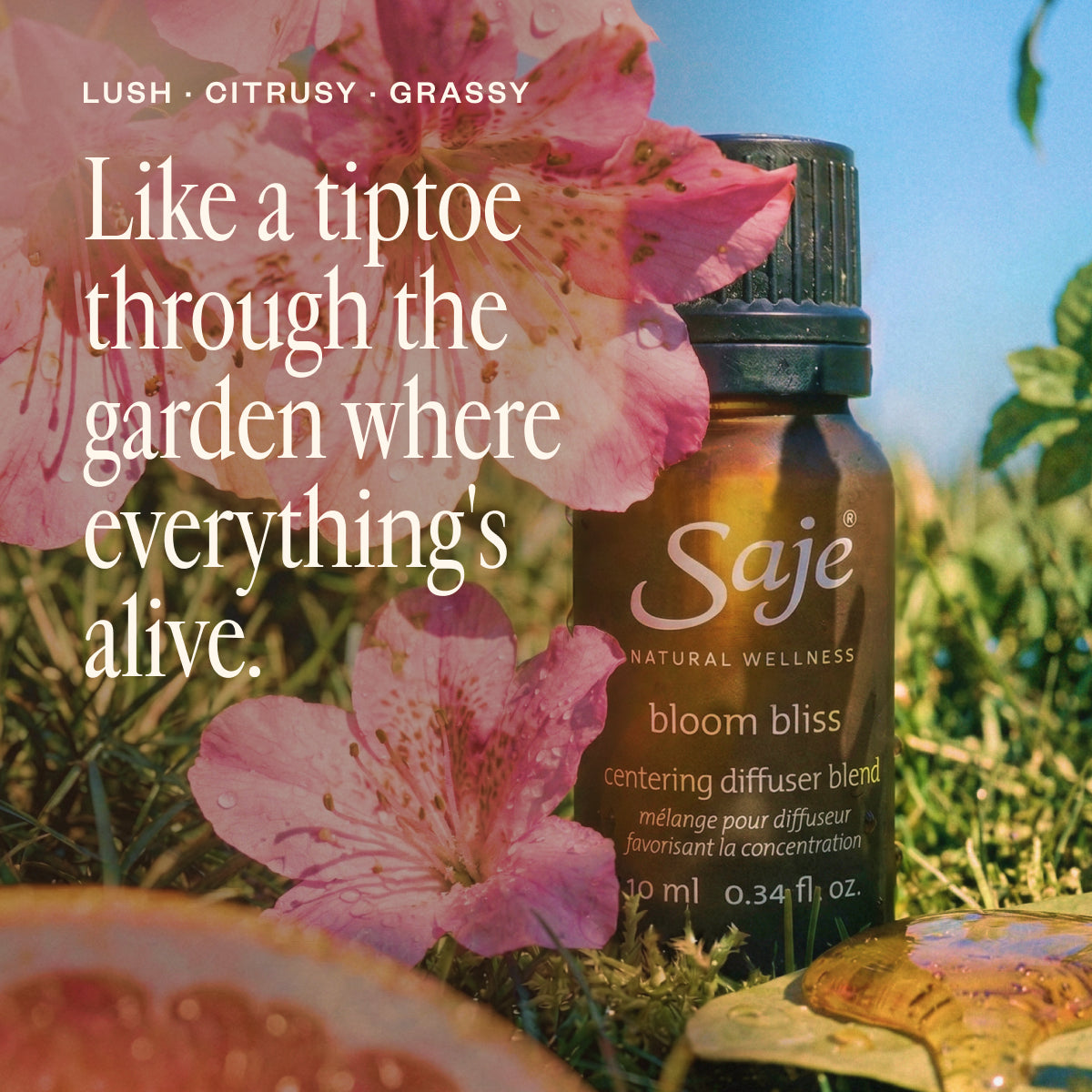 Bloom Bliss Lush & Citrusy Diffuser Blend - Saje Natural Wellness