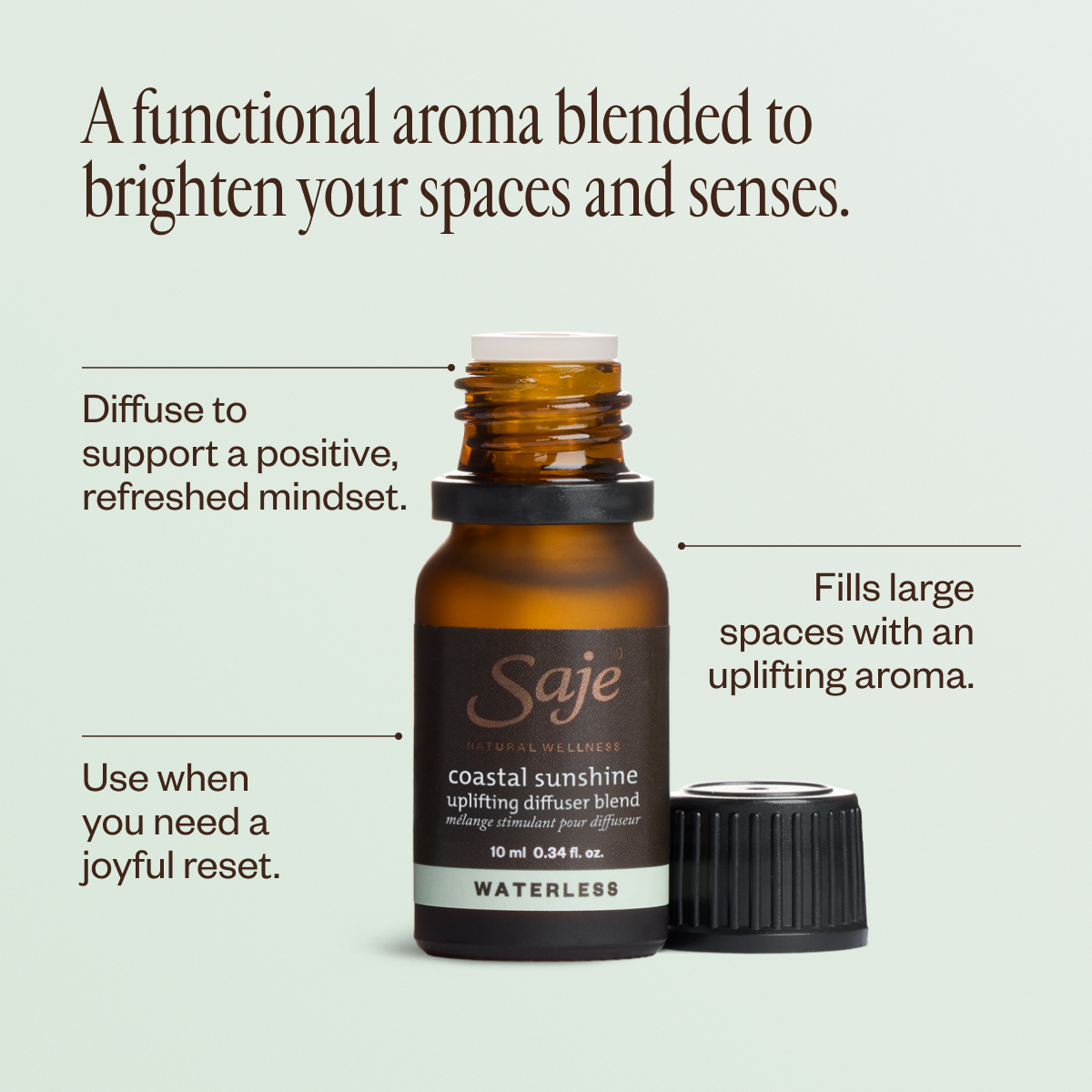 Coastal Sunshine Uplifting Diffuser Blend - Saje Natural Wellness
