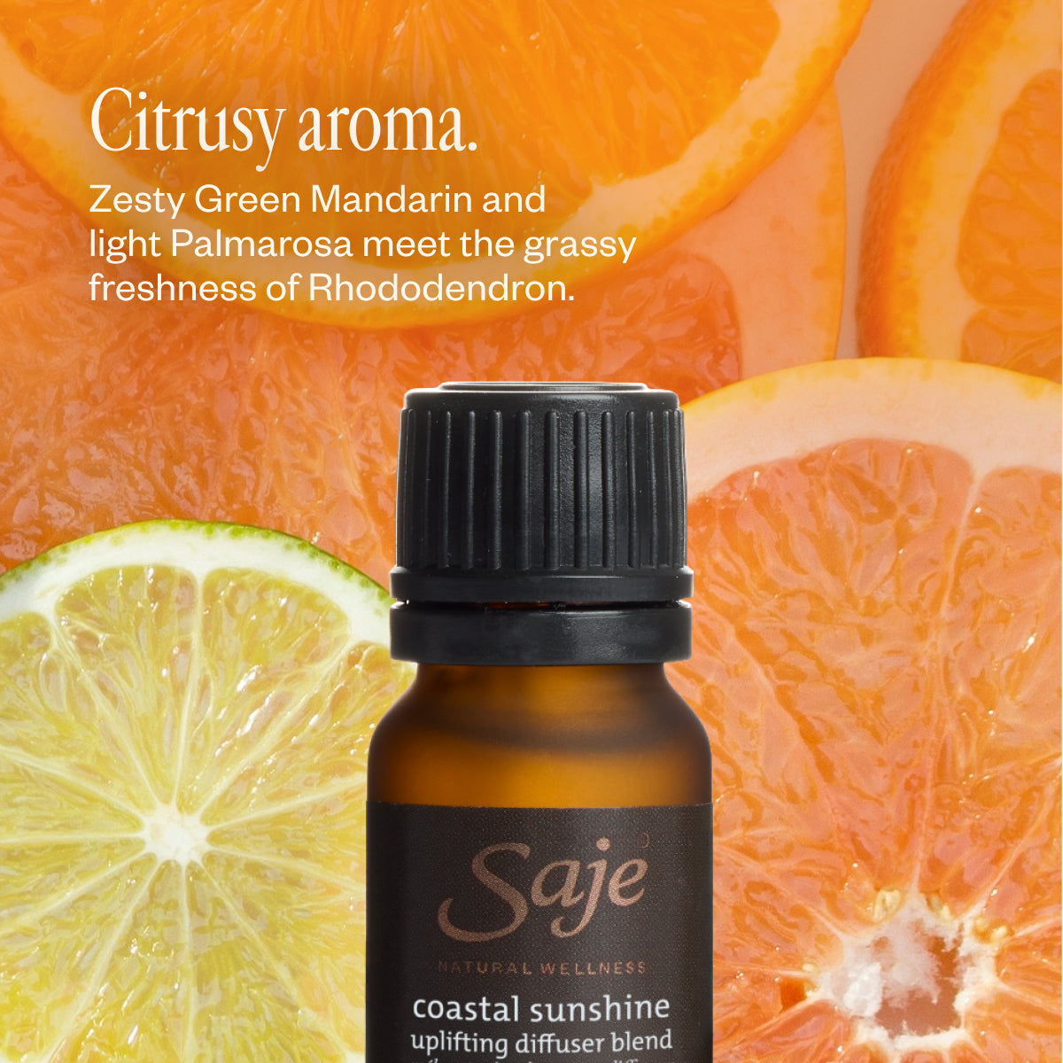 Coastal Sunshine Uplifting Diffuser Blend - Saje Natural Wellness