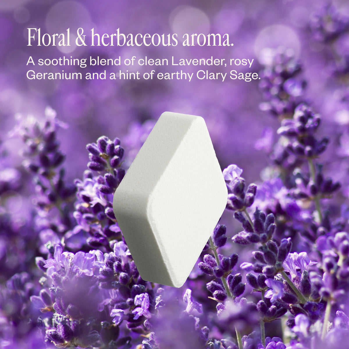 Lavender Haze Lavender Shower Steamer Trio - Saje Natural Wellness