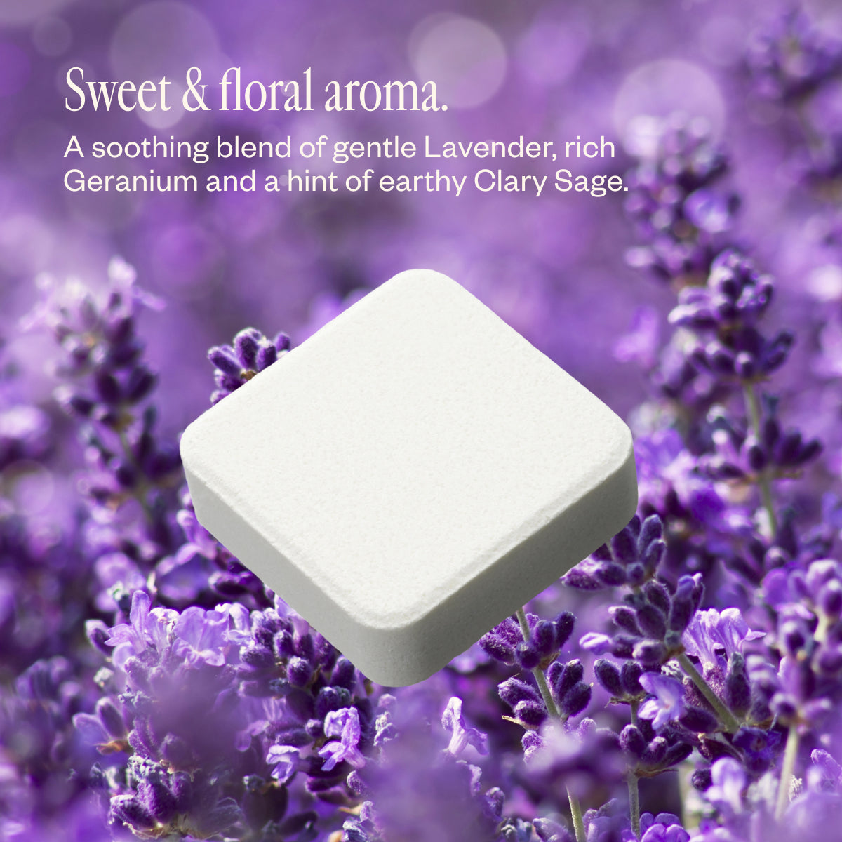 Lavender Lathers Body Care Bundle - Saje Natural Wellness