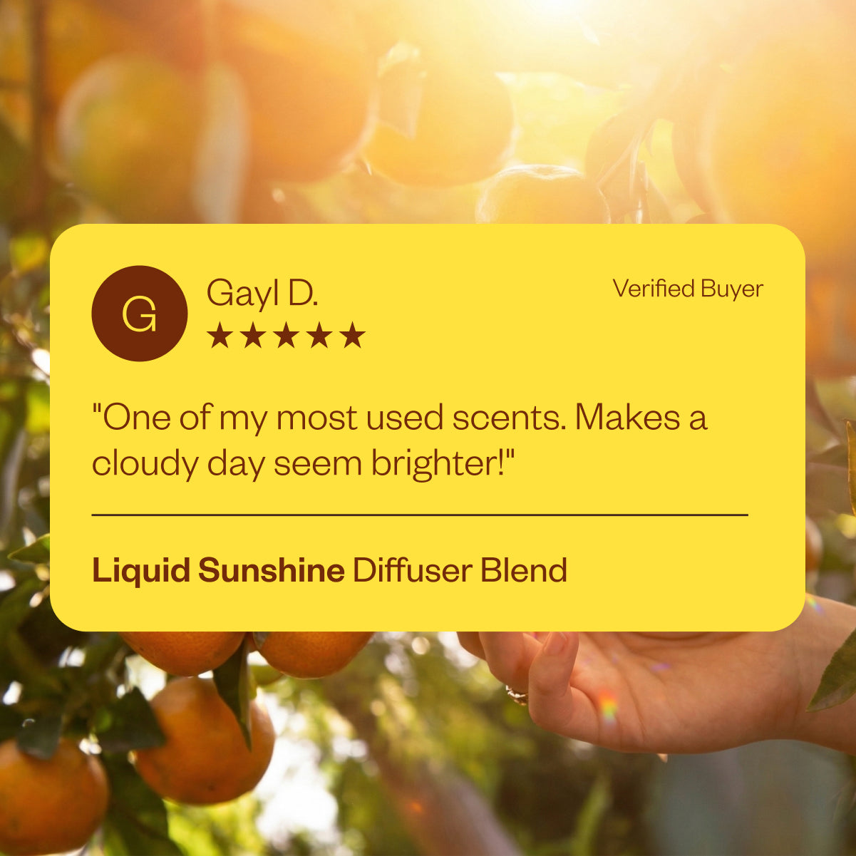 Liquid Sunshine Cheerful Diffuser Blend - Saje Natural Wellness