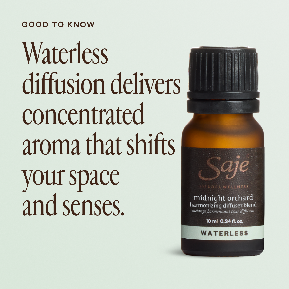 Midnight Orchard Harmonizing Diffuser Blend - Saje Natural Wellness Midnight Orchard Harmonizing Diffuser Blend - Saje Natural Wellness