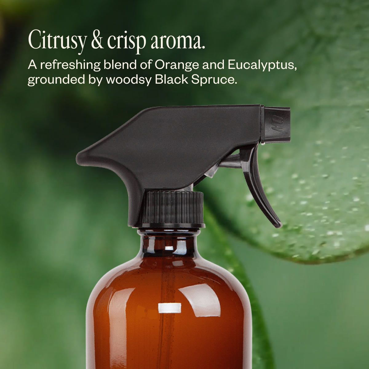 Saje Natural Wellness Cleaning Kit - Thumbnail 5