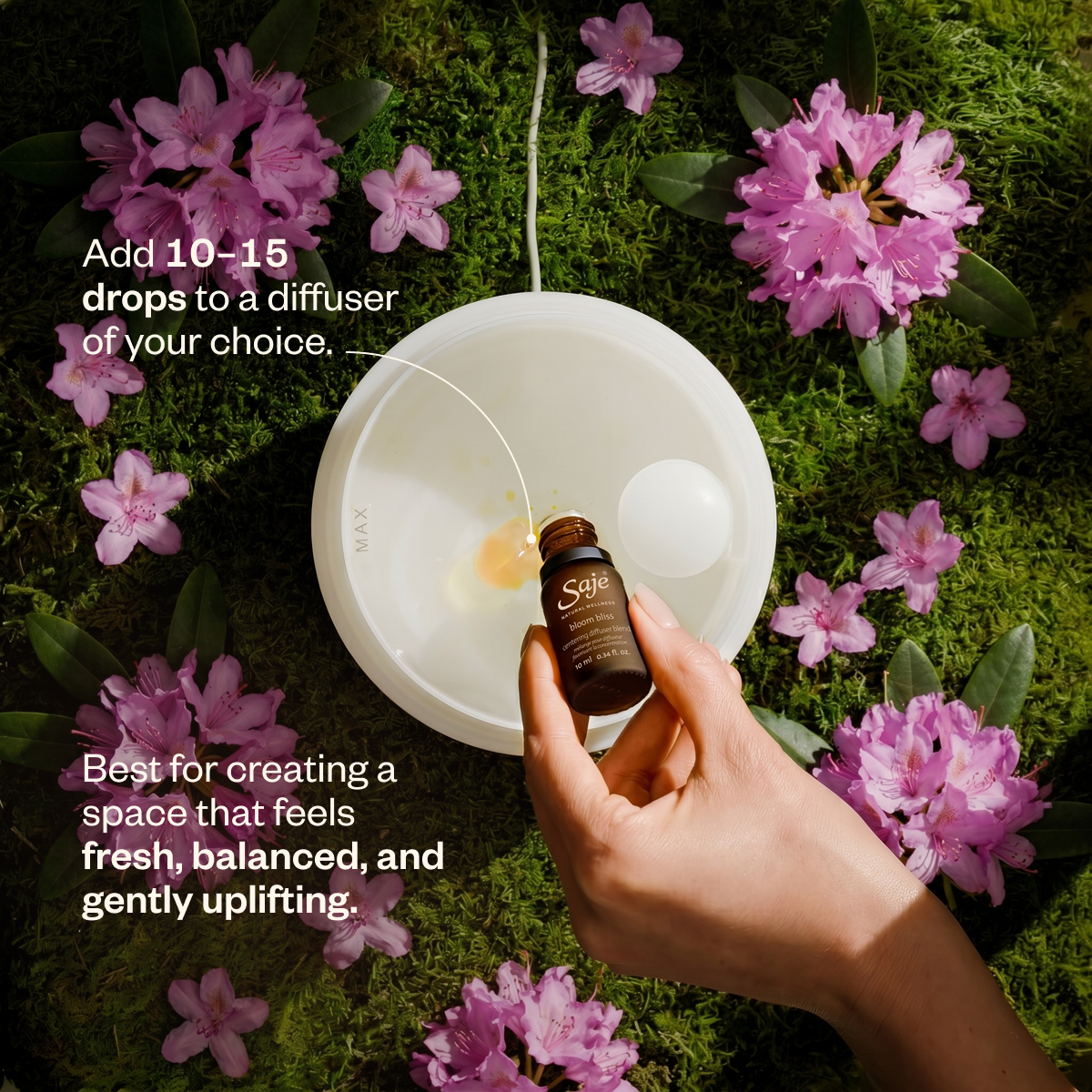 Bloom Bliss Lush & Citrusy Diffuser Blend - Saje Natural Wellness