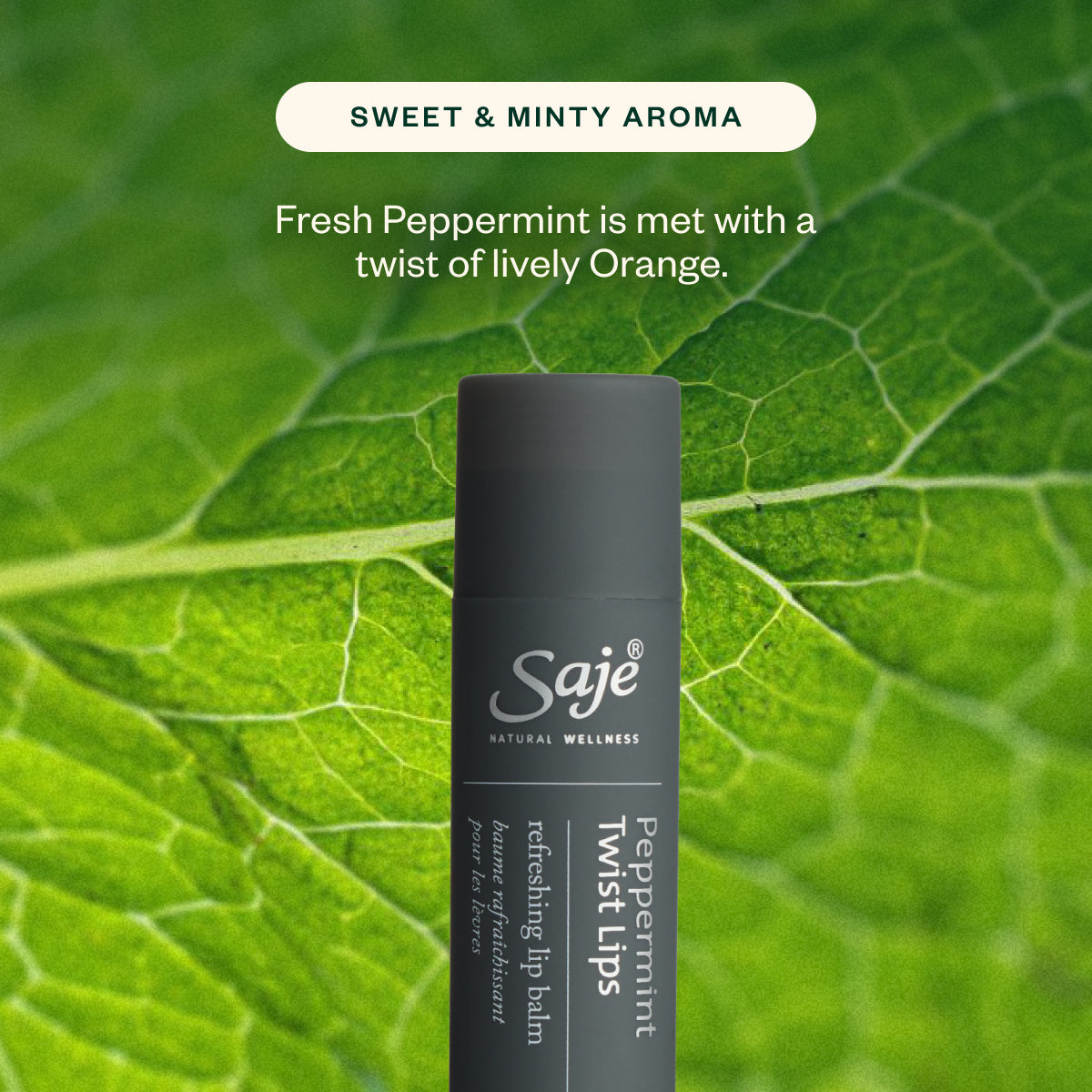 ハッピーバランシングウォーター＆セラム＆サンプル Blue Sandalwood Hand Sanitizer – Love Bella