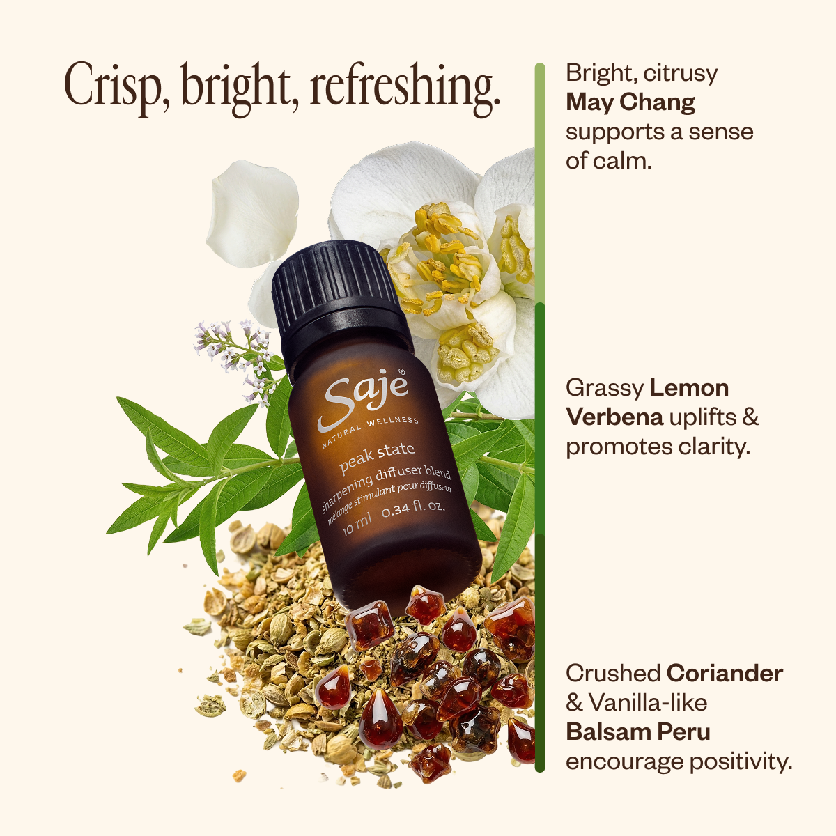 Spring Refresh Diffuser Bundle - Saje Natural Wellness