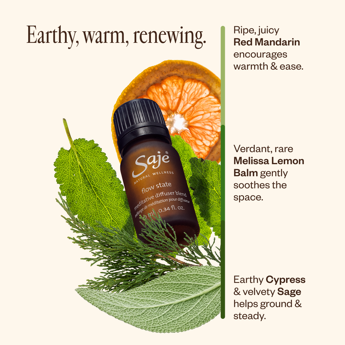Spring Refresh Diffuser Bundle - Saje Natural Wellness