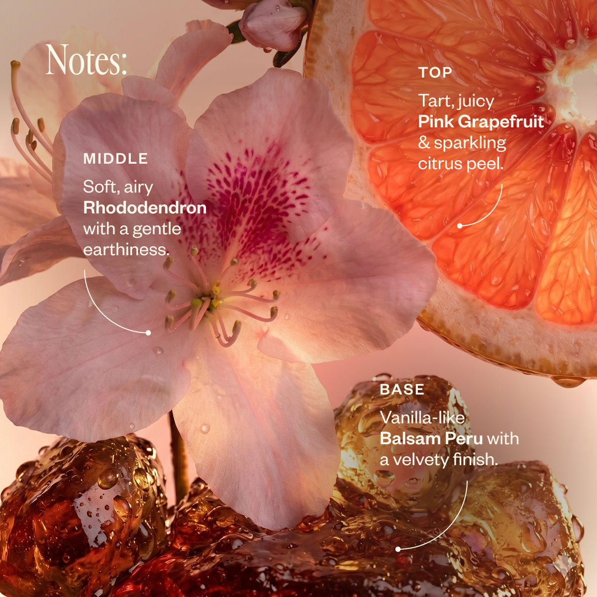 Bloom Bliss Lush & Citrusy Diffuser Blend - Saje Natural Wellness
