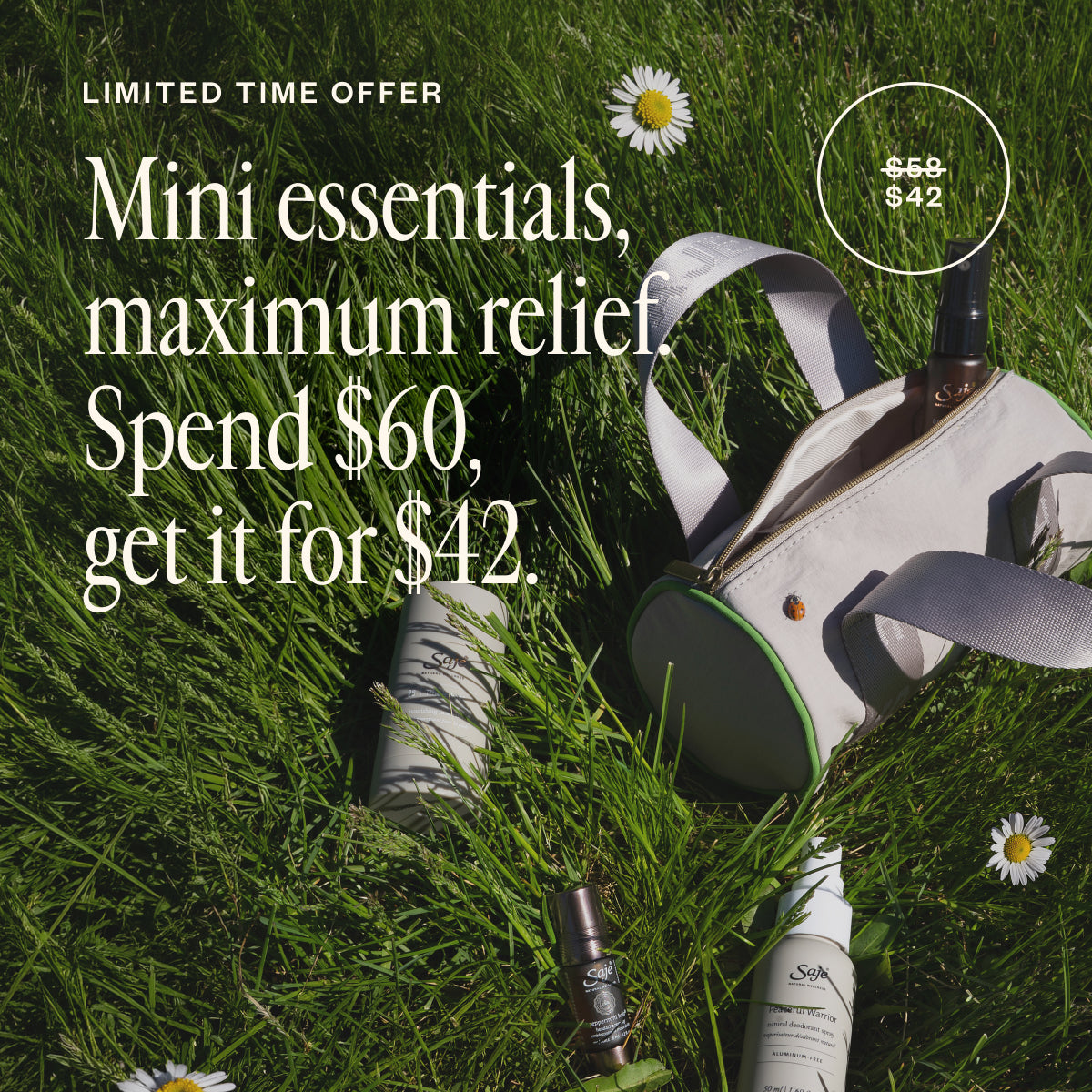 Summer SOS Seasonal Survival Kit - Saje Natural Wellness