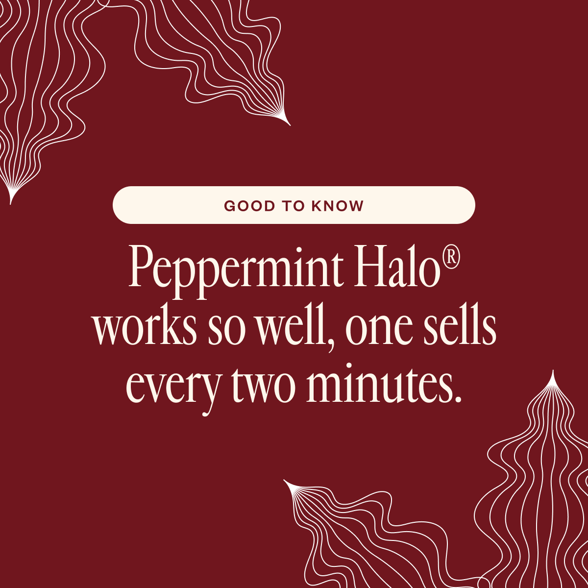 Saje Natural Wellness | Essential Oils & Diffuser