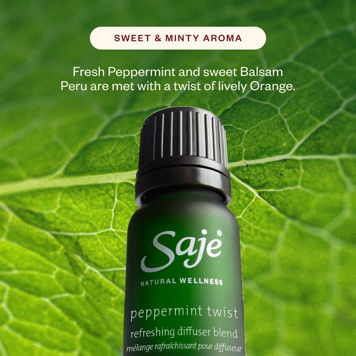 Aroma Horizon & Peppermint Twist Car Diffuser & Blend Bundle