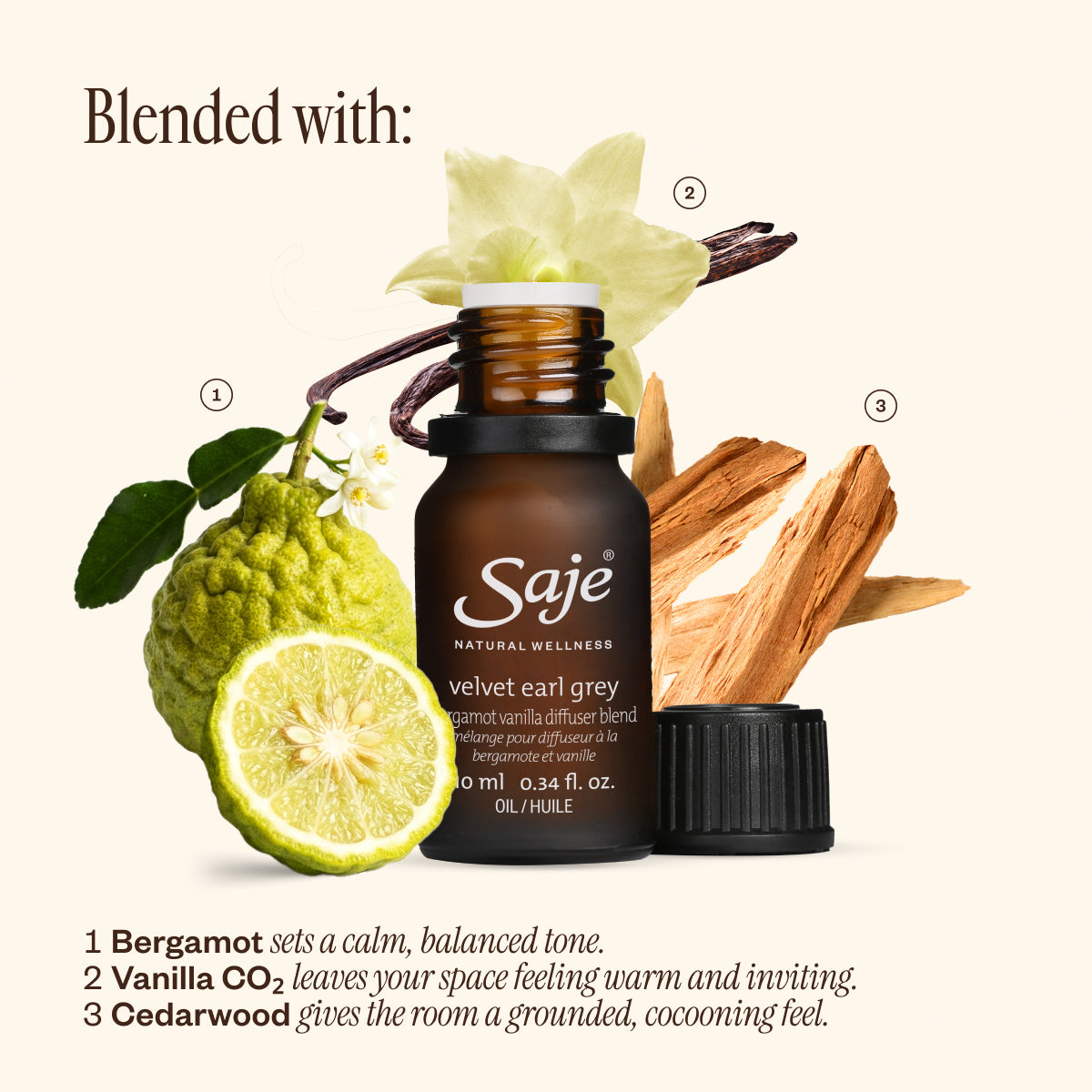 SAUGE CLARÉE Boutique Ambient Fragrance Velvet Earl Grey Bergamot Vanilla Diffuser Blend - Saje Natural