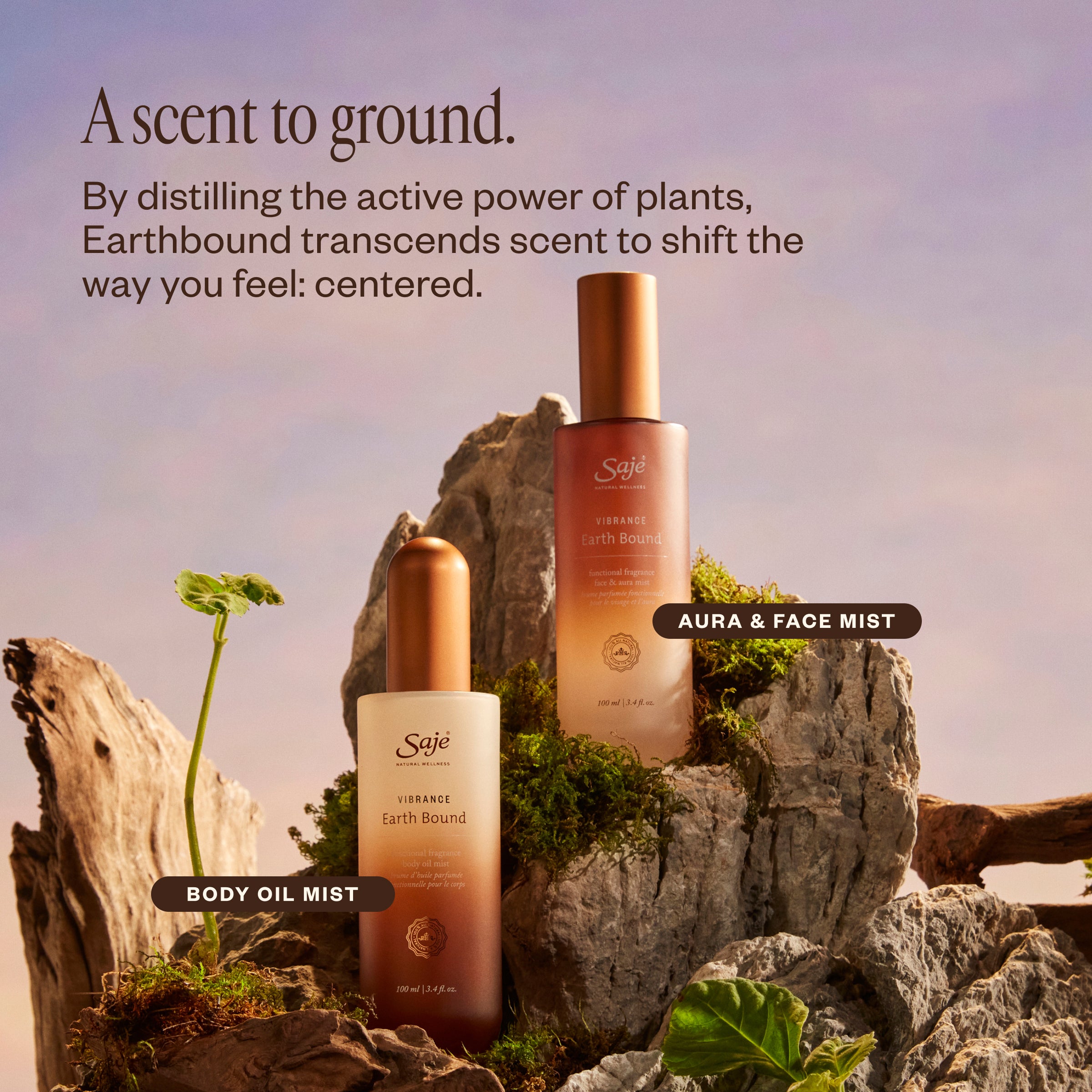 DUAL_PDP_Vibrance-Earth-Bound-