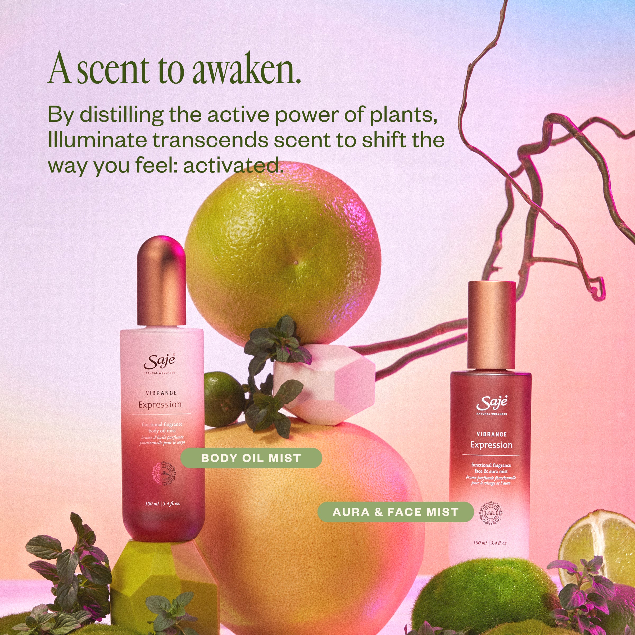 Vibrance Expression Functional Fragrance Duo - Saje Natural Wellness