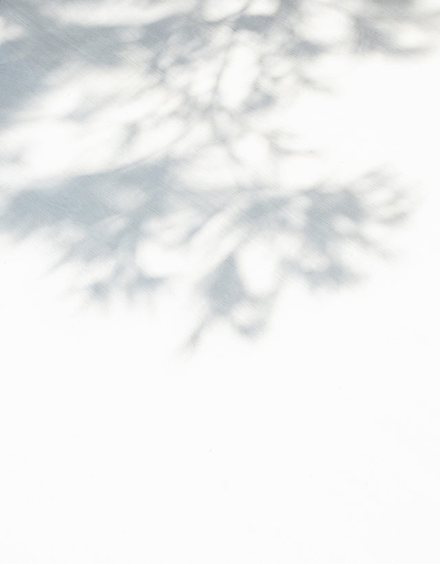 Home Care Kits Saje Natural Wellness