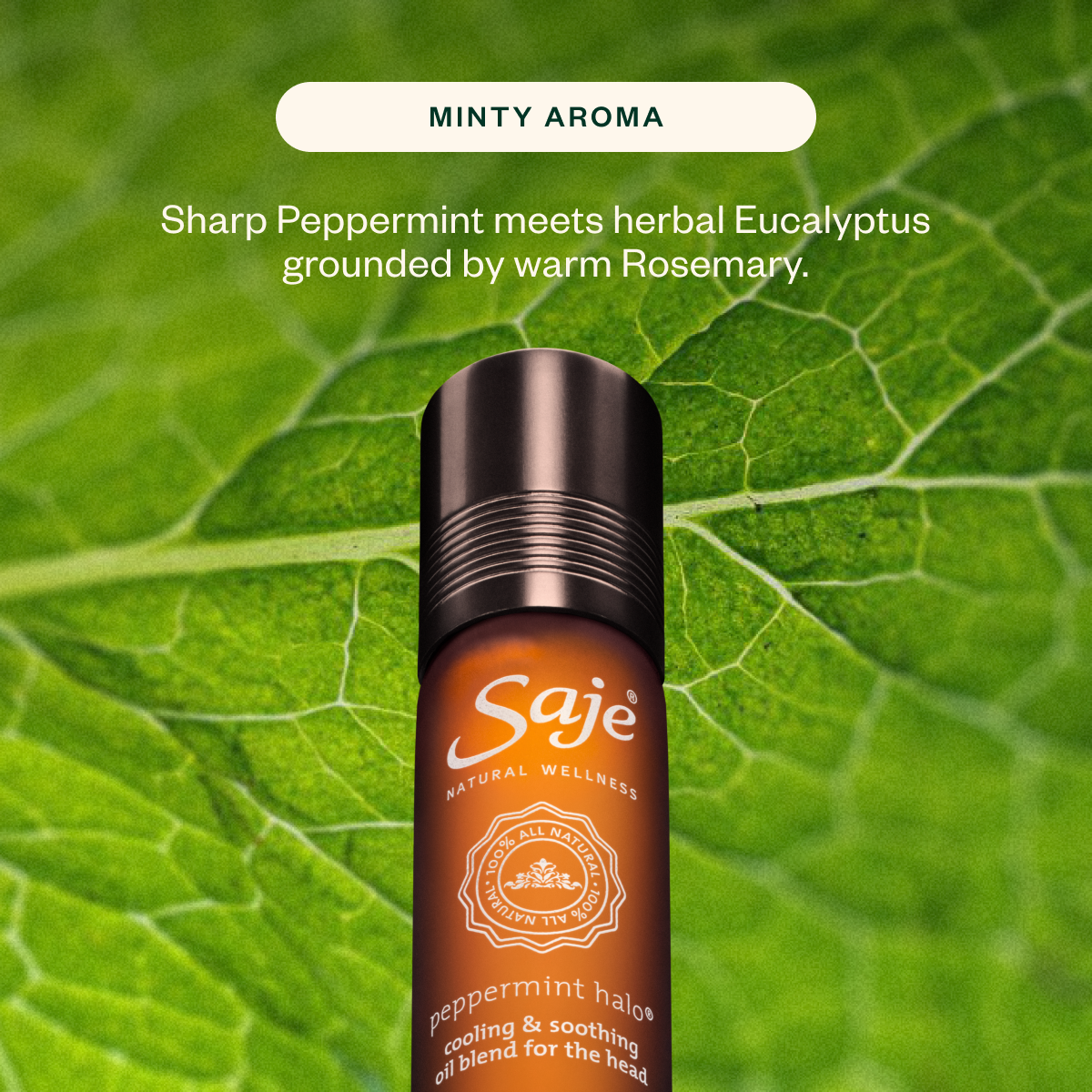 Best of Saje Wellness Kit Pearl Edition - Saje Natural Wellness