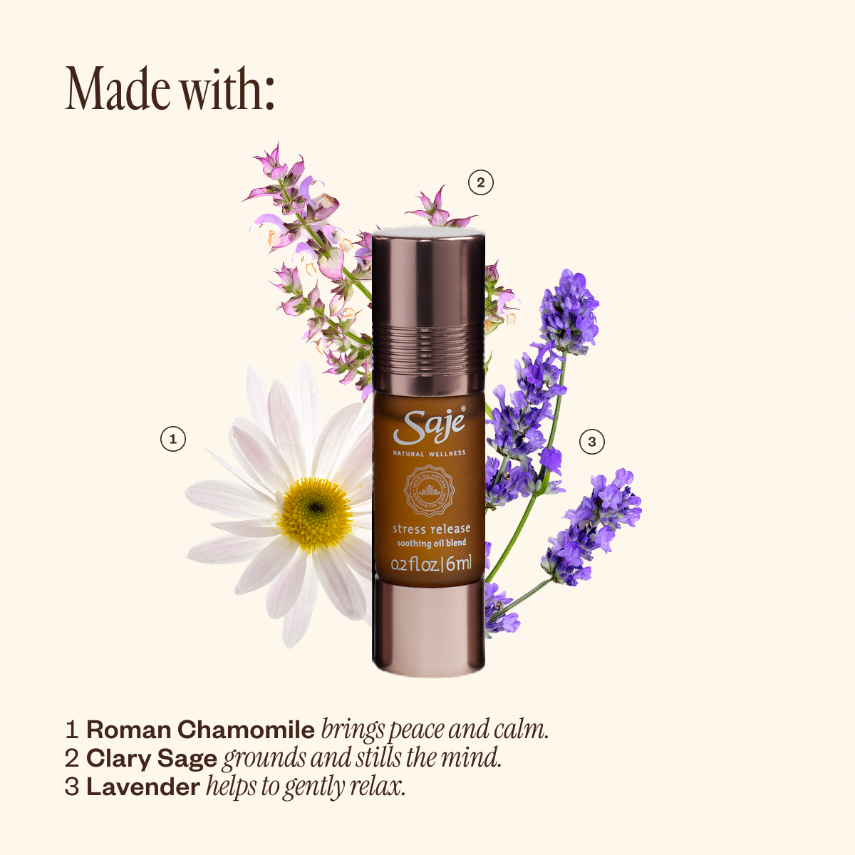 Pocket Farmacy Physical Essential Oil Kit Black - Saje Natural