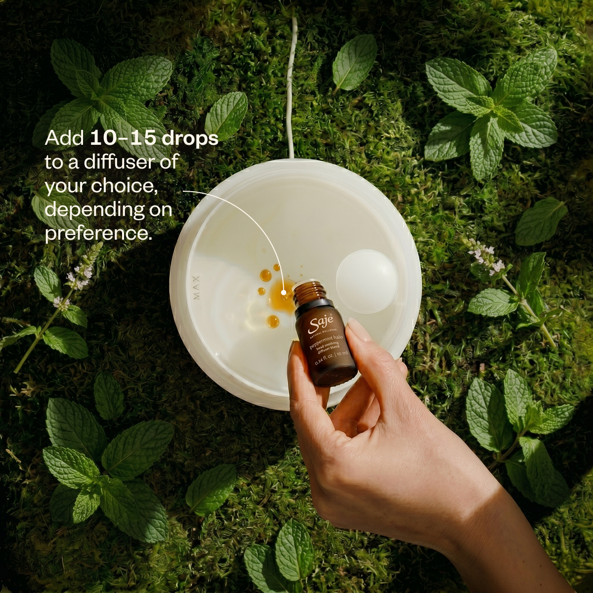 Peppermint Halo Head Soothing Diffuser Blend - Saje Natural Wellness