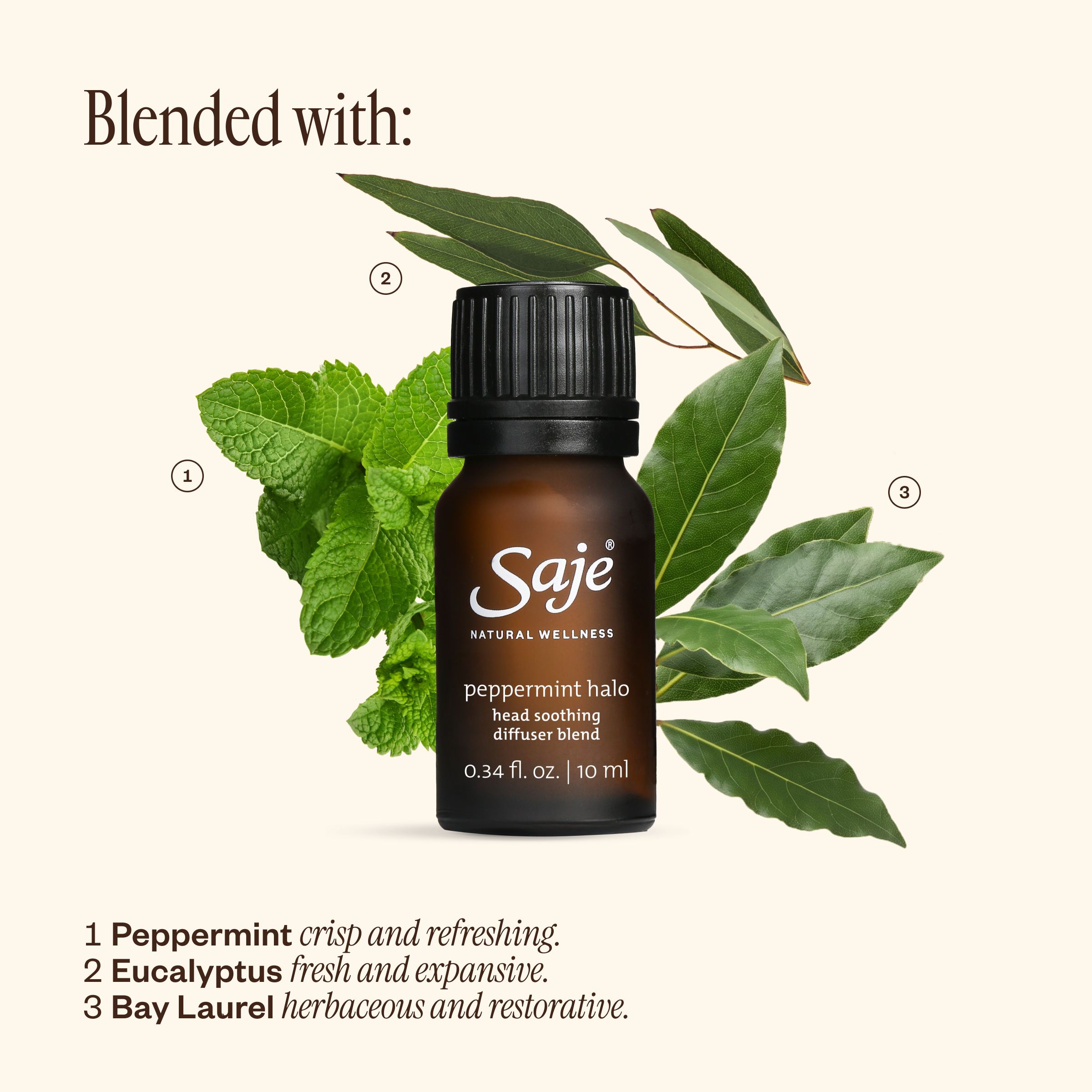 Peppermint Halo Head Soothing Diffuser Blend - Saje Natural Wellness