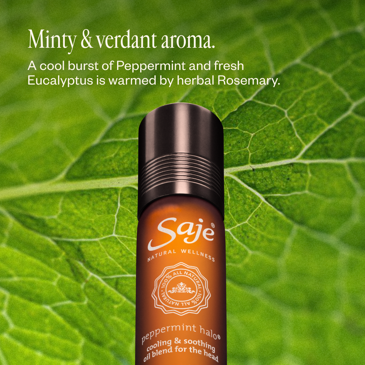 Peppermint Halo Saje ロールオンアロマ Peppermint Halo Cooling Oil Blend For The Head - Saje Natural Wellness